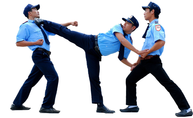 2-1 (1)_preview_rev_1.png